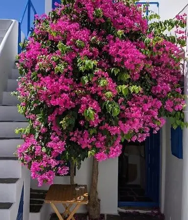 Old Cycladic House In The Heart Of The Chora. Folégandros